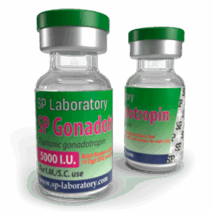 SP Gonadotropin HCG 5000 IU